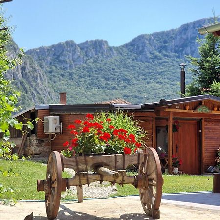 Konak -Guest House -Ramonda Serbika Ni Eksteriør billede